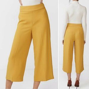 Express High Rise Culottes